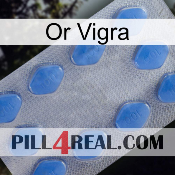 Gold Vigra 21.jpg